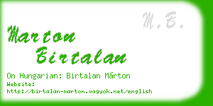 marton birtalan business card